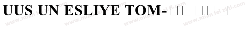 UUS UN ESLIYE TOM字体转换